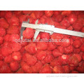 Chinese IFQ frozen strawberry